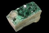Fluorite Crystal Cluster - Rogerley Mine #135700-1